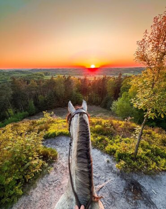 Фотосъёмка | С выездом | Фотосессия Бишкек - сүрөт 2