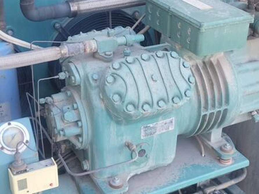 Холод для бизнеса. Холод работает, бизнес живёт. Всё остальное —не в Бишкек - изображение 1