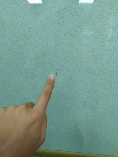 Ремонт лобового стекла с гарантией. Цены приемлемые. сколы трещины. С Бишкек - изображение 2