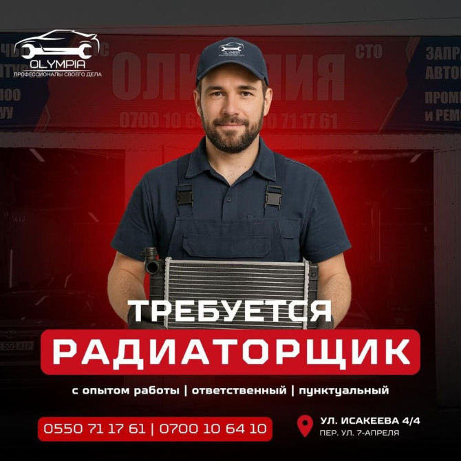 Промывка, чистка систем автомобиля, без выезда Бишкек - изображение 1