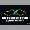 Предлагаются услуги автоэлектрика и диагностики автомобильных систем Бишкек