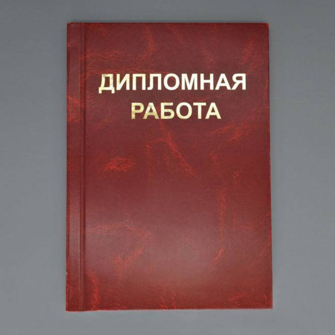 Помощь в написании дипломной работы на любую тему! Бюджетные цены! Бишкек - изображение 1