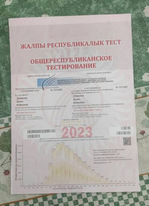 Репетитор Биология, Физика, Химия Подготовка к экзаменам, Подготовка к ОРТ (ЕГЭ), НЦТ​, Подготовка к олимпиаде Бишкек - изображение 2