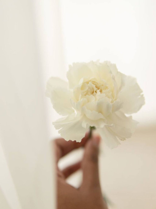 Требуется Продавец-консультант в Магазин косметики и парфюмерии, График: Гибкий график, Карьерный рост, Полный рабочий день Бишкек - изображение 1