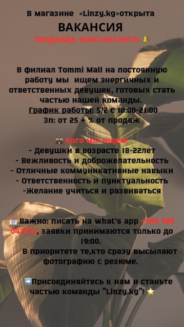Требуется Продавец-консультант График: Шестидневка, % от продаж, Полный рабочий день Бишкек - изображение 1