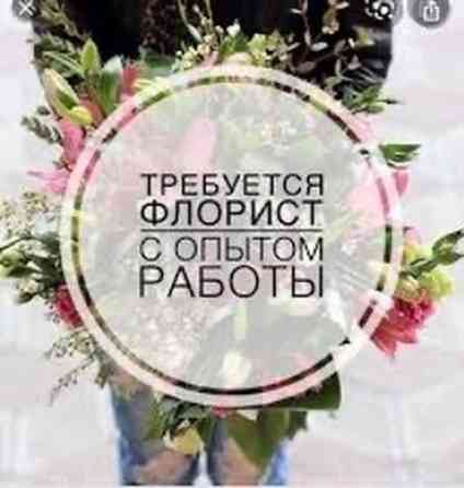 Требуется флорист (девушка) Возраст от 18+ График работы с 9 до 21:00 Бишкек