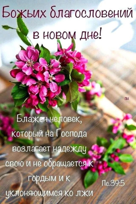 Языковые курсы Итальянский, Английский Для взрослых, Для детей Бишкек - изображение 1