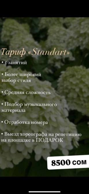 Уроки хореографии В классе, Индивидуальное, Групповое Бишкек - изображение 3