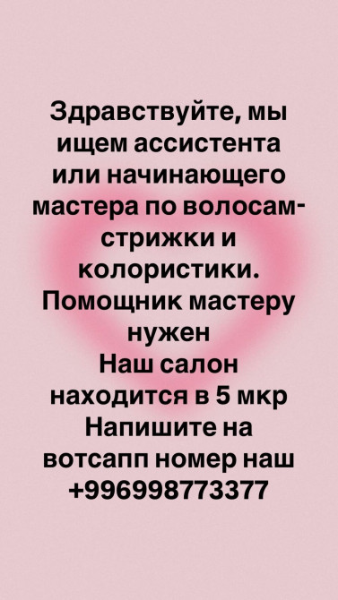Здравствуйте, мы ищем ассистента или начинающего мастера по волосам- Bishkek - photo 1