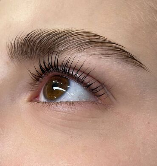 Ресницы, Голливуд, Классика, 2D, С выездом на дом Bishkek - photo 2