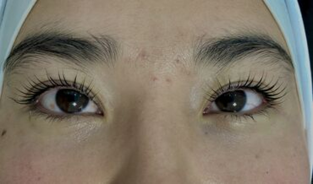 Ресницы, Классика, С выездом на дом Bishkek - photo 4