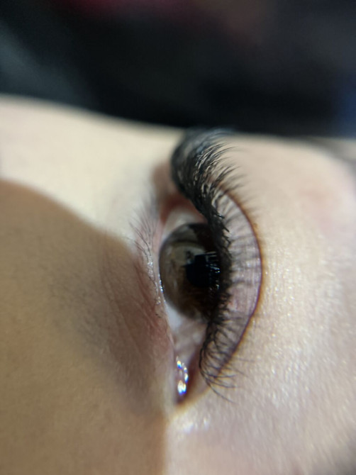 Ресницы, 2D, 3D, 4D, Гипоаллергенные материалы, Консультация, С выездом на дом Bishkek - photo 1